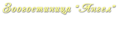 Зоогостиница Ангел передержка. Таганрог.